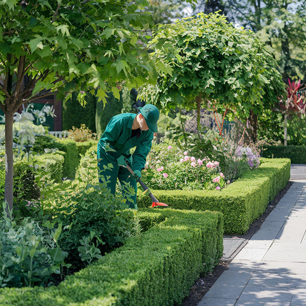 Gartenpflege Gartenpflege